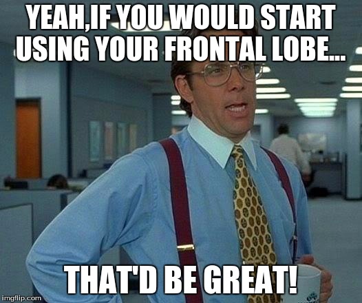 That Would Be Great Meme | YEAH,IF YOU WOULD START USING YOUR FRONTAL LOBE... THAT'D BE GREAT! | image tagged in memes,that would be great | made w/ Imgflip meme maker