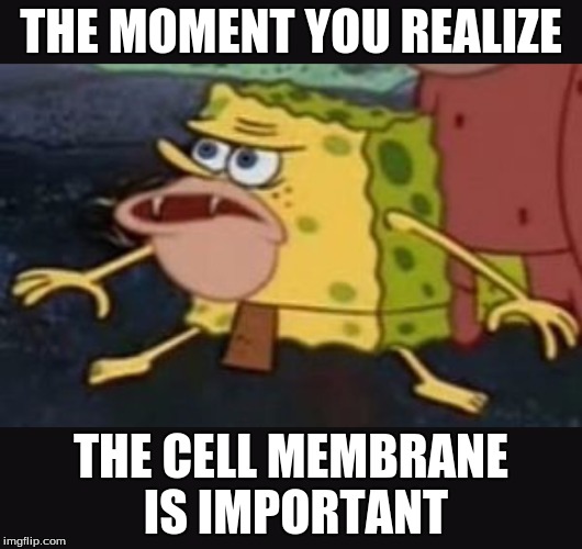 Caveman spongebob  |  THE MOMENT YOU REALIZE; THE CELL MEMBRANE IS IMPORTANT | image tagged in caveman spongebob | made w/ Imgflip meme maker