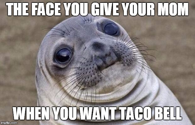 Awkward Moment Sealion | THE FACE YOU GIVE YOUR MOM; WHEN YOU WANT TACO BELL | image tagged in memes,awkward moment sealion | made w/ Imgflip meme maker