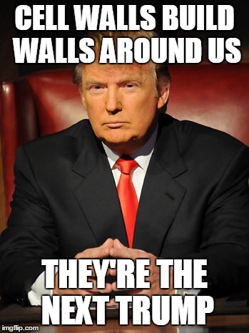 Donald trump | CELL WALLS BUILD WALLS AROUND US; THEY'RE THE NEXT TRUMP | image tagged in donald trump | made w/ Imgflip meme maker