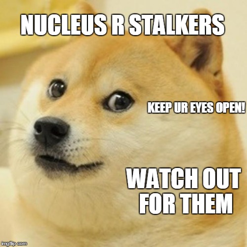 Doge Meme | NUCLEUS R STALKERS; KEEP UR EYES OPEN! WATCH OUT FOR THEM | image tagged in memes,doge | made w/ Imgflip meme maker