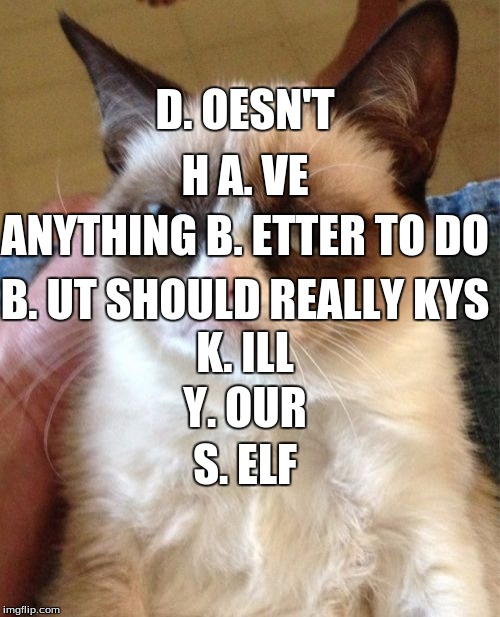 What Dabb and Kys means | D. OESN'T; H A. VE; ANYTHING B. ETTER TO DO; B. UT SHOULD REALLY KYS; K. ILL; Y. OUR; S. ELF | image tagged in memes,grumpy cat | made w/ Imgflip meme maker