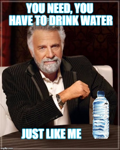 The Most Interesting Man In The World | YOU NEED, YOU HAVE TO DRINK WATER; JUST LIKE ME | image tagged in memes,the most interesting man in the world | made w/ Imgflip meme maker