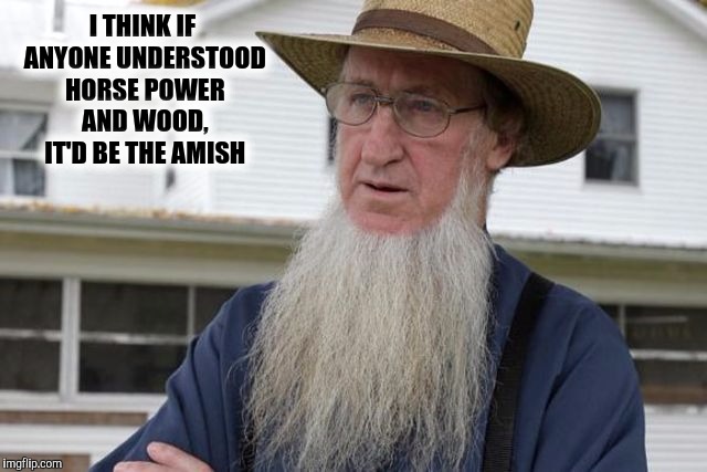 I THINK IF ANYONE UNDERSTOOD HORSE POWER AND WOOD, IT'D BE THE AMISH | made w/ Imgflip meme maker