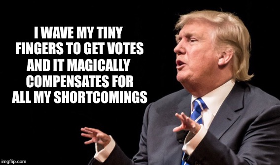 Who Is Compensating And For What ? | I WAVE MY TINY FINGERS TO GET VOTES; AND IT MAGICALLY COMPENSATES FOR ALL MY SHORTCOMINGS | image tagged in donald trump | made w/ Imgflip meme maker