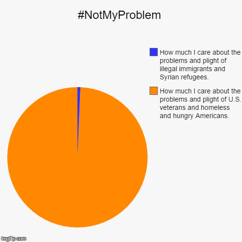 image tagged in funny,pie charts,syria,illegal immigration,funny memes,memes | made w/ Imgflip chart maker