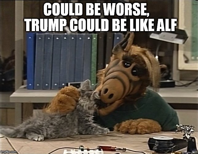 Snack time | COULD BE WORSE,   TRUMP COULD BE LIKE ALF | image tagged in donald trump | made w/ Imgflip meme maker