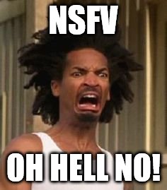 NSFV; OH HELL NO! | image tagged in memes,oh hell no guy,funny | made w/ Imgflip meme maker