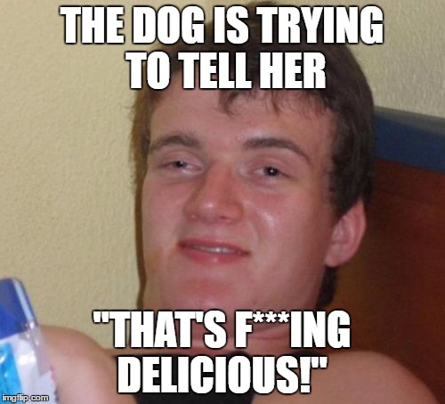 10 Guy Meme | THE DOG IS TRYING TO TELL HER "THAT'S F***ING DELICIOUS!" | image tagged in memes,10 guy | made w/ Imgflip meme maker