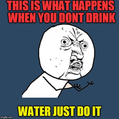Y U No Meme | THIS IS WHAT HAPPENS WHEN YOU DONT DRINK; WATER JUST DO IT | image tagged in memes,y u no | made w/ Imgflip meme maker