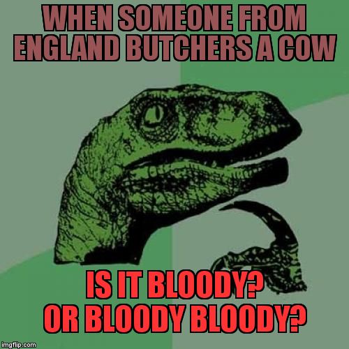 Philosoraptor | WHEN SOMEONE FROM ENGLAND BUTCHERS A COW; IS IT BLOODY?        OR BLOODY BLOODY? | image tagged in memes,philosoraptor | made w/ Imgflip meme maker