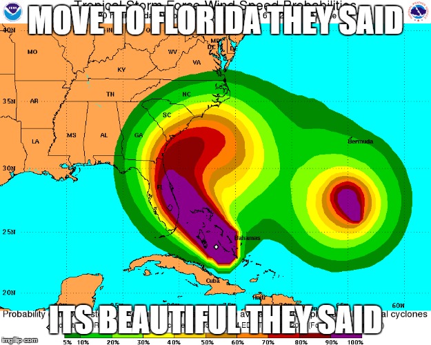 MOVE TO FLORIDA THEY SAID; ITS BEAUTIFUL THEY SAID | image tagged in meanwhile in florida,why | made w/ Imgflip meme maker