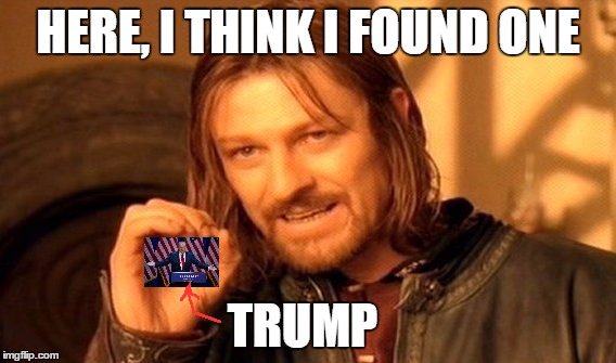 One Does Not Simply Meme | HERE, I THINK I FOUND ONE TRUMP | image tagged in memes,one does not simply | made w/ Imgflip meme maker