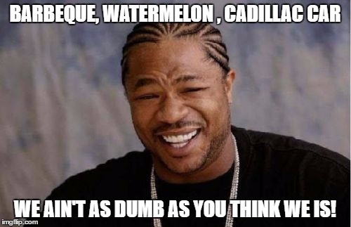 Yo Dawg Heard You Meme | BARBEQUE, WATERMELON , CADILLAC CAR WE AIN'T AS DUMB AS YOU THINK WE IS! | image tagged in memes,yo dawg heard you | made w/ Imgflip meme maker