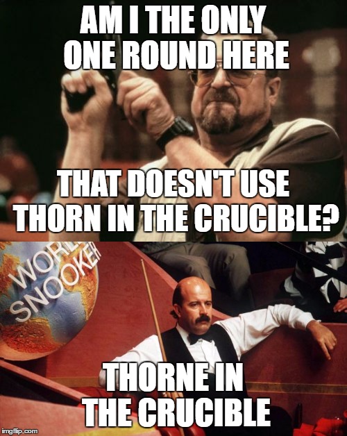 AM I THE ONLY ONE ROUND HERE THORNE IN THE CRUCIBLE THAT DOESN'T USE THORN IN THE CRUCIBLE? | made w/ Imgflip meme maker