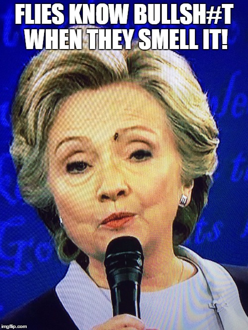 Hillary fly | FLIES KNOW BULLSH#T WHEN THEY SMELL IT! | image tagged in hillary fly | made w/ Imgflip meme maker