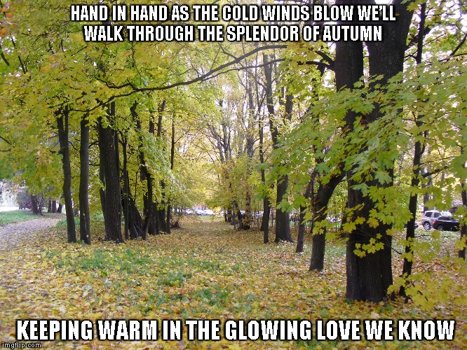 The Splendor of Autumn | HAND IN HAND AS THE COLD WINDS BLOW
WE’LL WALK THROUGH THE SPLENDOR OF AUTUMN; KEEPING WARM IN THE GLOWING LOVE WE KNOW | image tagged in autumn,cold winds,love | made w/ Imgflip meme maker