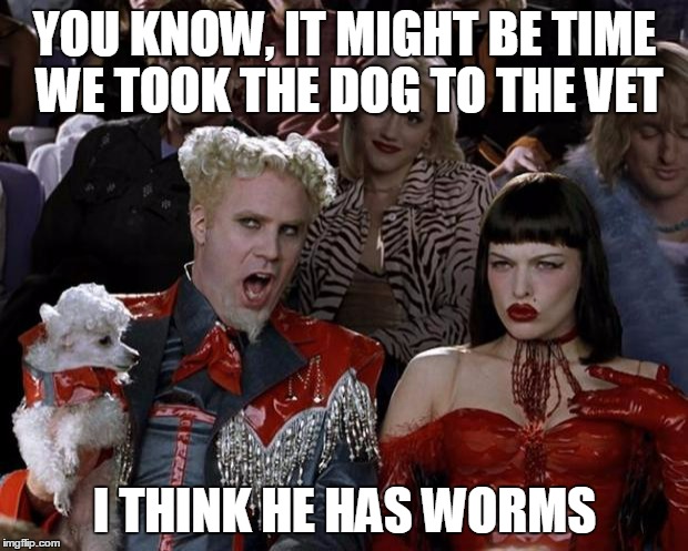 Mugatu So Hot Right Now Meme | YOU KNOW, IT MIGHT BE TIME WE TOOK THE DOG TO THE VET I THINK HE HAS WORMS | image tagged in memes,mugatu so hot right now | made w/ Imgflip meme maker