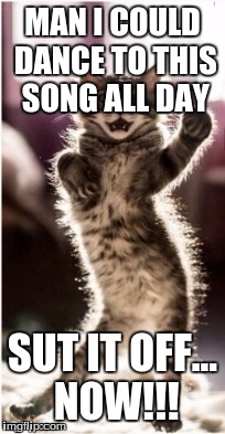 Dancing Tabby | MAN I COULD DANCE TO THIS SONG ALL DAY; SUT IT OFF... NOW!!! | image tagged in dancing tabby | made w/ Imgflip meme maker