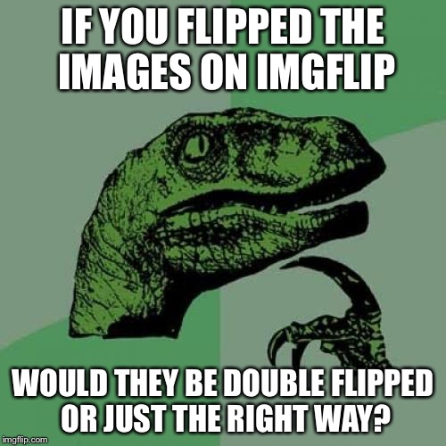 Philosoraptor | IF YOU FLIPPED THE IMAGES ON IMGFLIP; WOULD THEY BE DOUBLE FLIPPED OR JUST THE RIGHT WAY? | image tagged in memes,philosoraptor | made w/ Imgflip meme maker