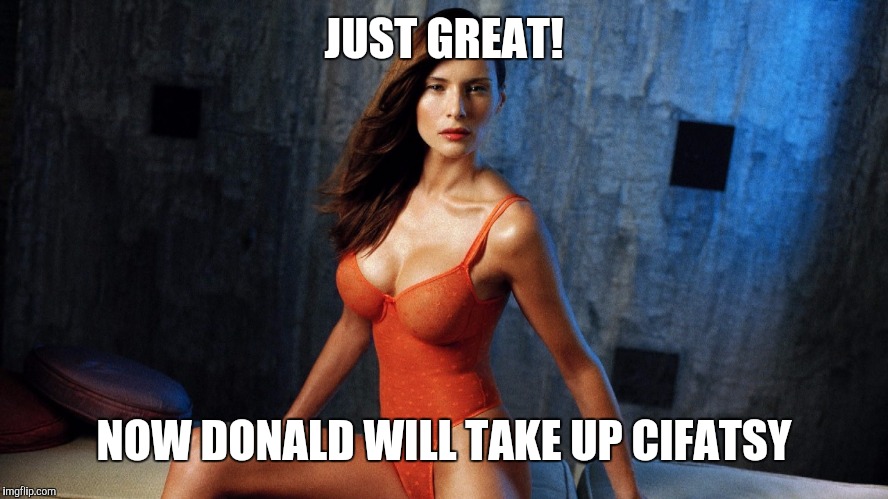 JUST GREAT! NOW DONALD WILL TAKE UP CIFATSY | image tagged in melania in swsuit | made w/ Imgflip meme maker