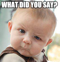 Skeptical Baby Meme | WHAT DID YOU SAY? | image tagged in memes,skeptical baby | made w/ Imgflip meme maker