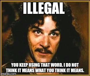 princess bride | ILLEGAL; YOU KEEP USING THAT WORD. I DO NOT THINK IT MEANS WHAT YOU THINK IT MEANS. | image tagged in princess bride | made w/ Imgflip meme maker