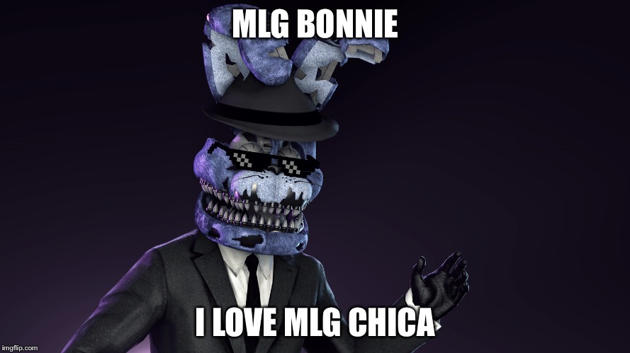 MLG BONNIE; I LOVE MLG CHICA | image tagged in five nights at freddys | made w/ Imgflip meme maker
