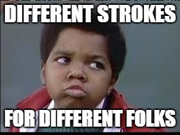 DIFFERENT STROKES FOR DIFFERENT FOLKS | image tagged in arnold | made w/ Imgflip meme maker