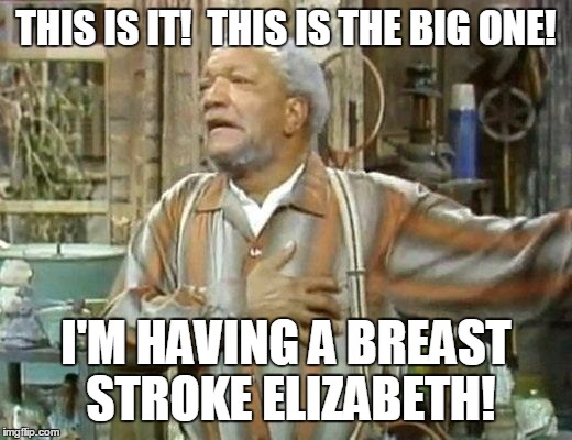 THIS IS IT!  THIS IS THE BIG ONE! I'M HAVING A BREAST STROKE ELIZABETH! | image tagged in sanford | made w/ Imgflip meme maker