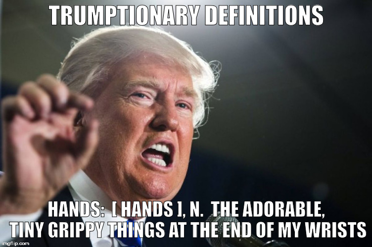 donald trump | TRUMPTIONARY DEFINITIONS; HANDS:  [ HANDS ], N.  THE ADORABLE, TINY GRIPPY THINGS AT THE END OF MY WRISTS | image tagged in donald trump | made w/ Imgflip meme maker