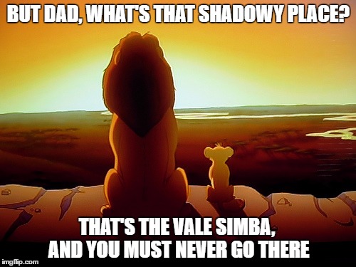 Lion King Meme | BUT DAD, WHAT'S THAT SHADOWY PLACE? THAT'S THE VALE SIMBA, AND YOU MUST NEVER GO THERE | image tagged in memes,lion king | made w/ Imgflip meme maker