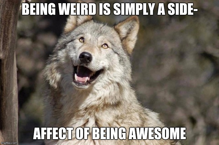 Optimistic Moon Moon Wolf Vanadium Wolf |  BEING WEIRD IS SIMPLY A SIDE-; AFFECT OF BEING AWESOME | image tagged in optimistic moon moon wolf vanadium wolf | made w/ Imgflip meme maker