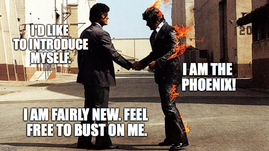 Wish You Were Here  | I'D LIKE TO INTRODUCE MYSELF. I AM THE PHOENIX! I AM FAIRLY NEW.
FEEL FREE TO BUST ON ME. | image tagged in wish you were here | made w/ Imgflip meme maker
