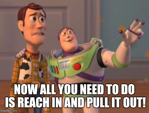 X, X Everywhere | NOW ALL YOU NEED TO DO IS REACH IN AND PULL IT OUT! | image tagged in memes,x x everywhere | made w/ Imgflip meme maker