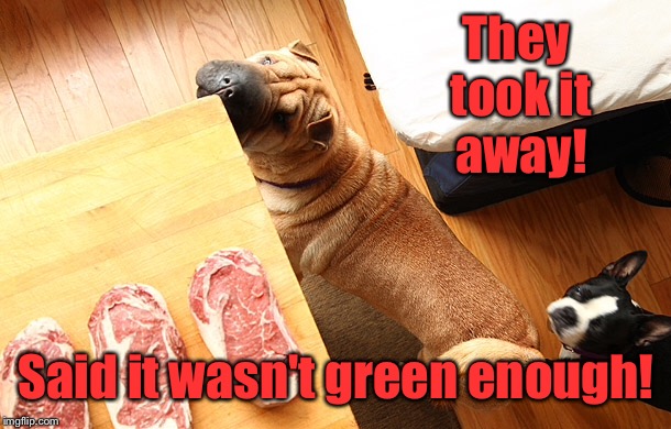 They took it away! Said it wasn't green enough! | made w/ Imgflip meme maker