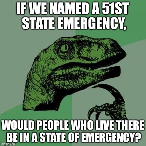 Philosoraptor | IF WE NAMED A 51ST STATE EMERGENCY, WOULD PEOPLE WHO LIVE THERE BE IN A STATE OF EMERGENCY? | image tagged in memes,philosoraptor | made w/ Imgflip meme maker