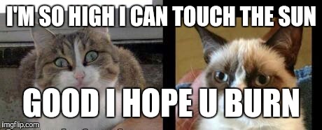 grumpy cat and high cat | I'M SO HIGH I CAN TOUCH THE SUN; GOOD I HOPE U BURN | image tagged in grumpy cat and high cat | made w/ Imgflip meme maker