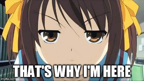Haruhi stare | THAT'S WHY I'M HERE | image tagged in haruhi stare | made w/ Imgflip meme maker