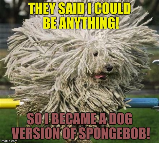 THEY SAID I COULD BE ANYTHING! SO I BECAME A DOG VERSION OF SPONGEBOB! | image tagged in spongedog | made w/ Imgflip meme maker