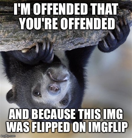 Confession Bear Meme | I'M OFFENDED THAT YOU'RE OFFENDED AND BECAUSE THIS IMG WAS FLIPPED ON IMGFLIP | image tagged in memes,confession bear | made w/ Imgflip meme maker