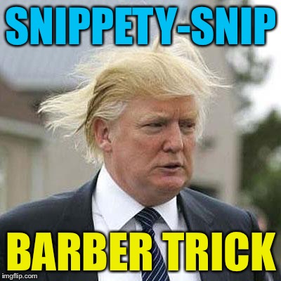 Donald Trump | SNIPPETY-SNIP; BARBER TRICK | image tagged in donald trump,memes,barbapapa | made w/ Imgflip meme maker