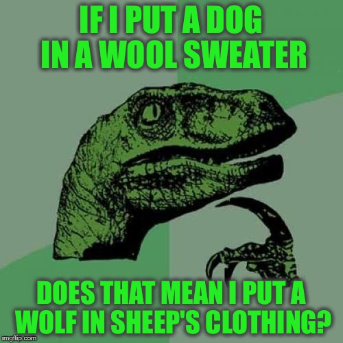 Philosoraptor: Dog in sweater | IF I PUT A DOG IN A WOOL SWEATER; DOES THAT MEAN I PUT A WOLF IN SHEEP'S CLOTHING? | image tagged in memes,philosoraptor,dog,wolf,sweater,funny | made w/ Imgflip meme maker