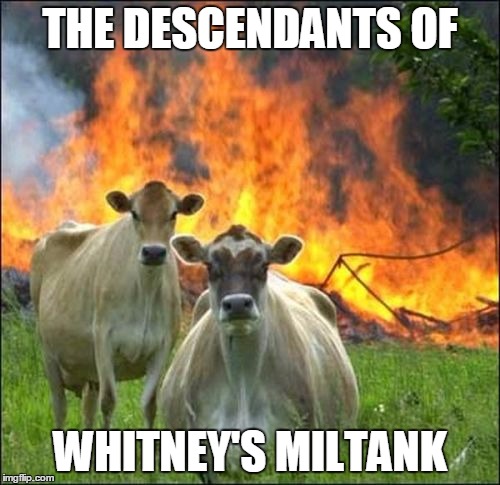 Evil Cows Meme | THE DESCENDANTS OF; WHITNEY'S MILTANK | image tagged in memes,evil cows | made w/ Imgflip meme maker