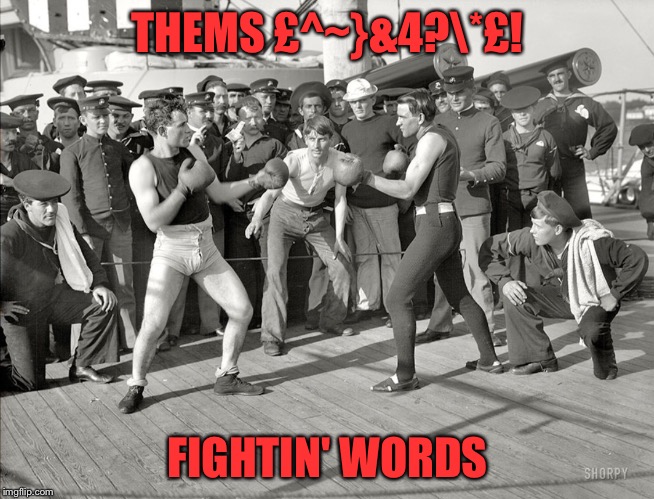 BOXERS  | THEMS £^~}&4?*£! FIGHTIN' WORDS | image tagged in boxers | made w/ Imgflip meme maker