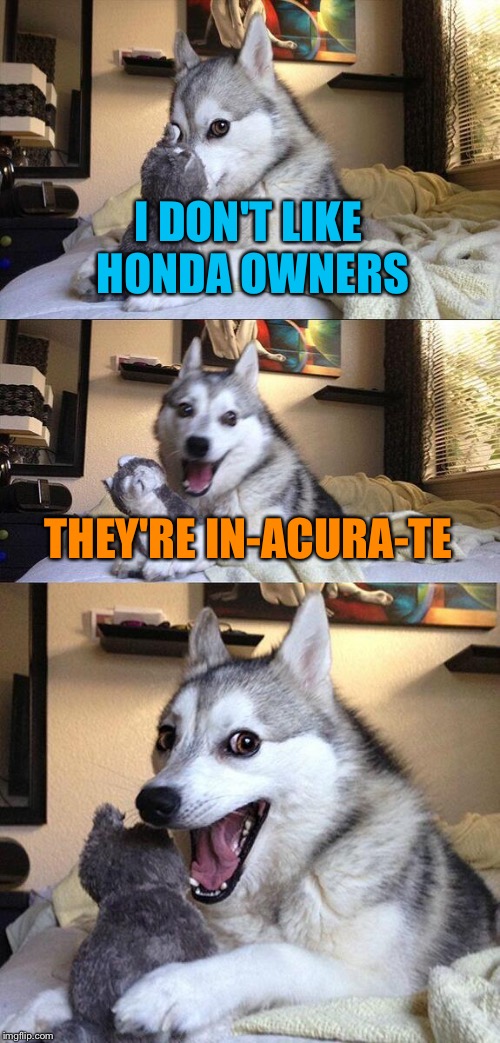 Bad Pun Dog Meme | I DON'T LIKE HONDA OWNERS; THEY'RE IN-ACURA-TE | image tagged in memes,bad pun dog | made w/ Imgflip meme maker