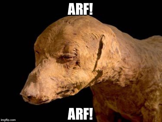 ARF! ARF! | made w/ Imgflip meme maker