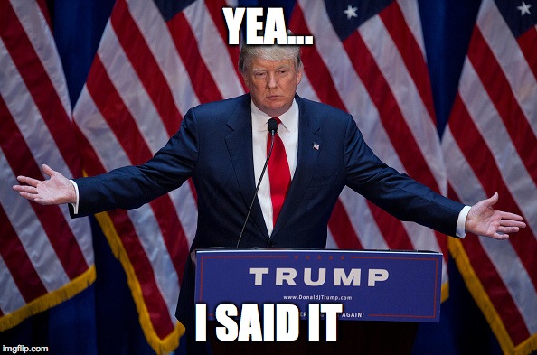 Donald Trump | YEA... I SAID IT | image tagged in donald trump | made w/ Imgflip meme maker