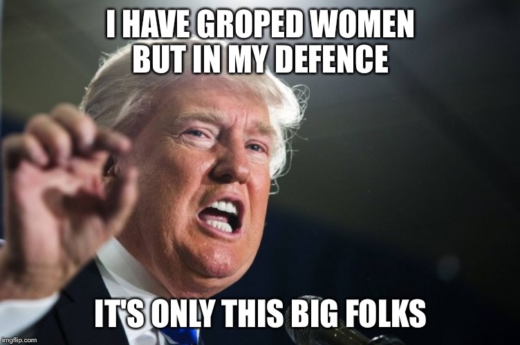 donald trump | I HAVE GROPED WOMEN BUT IN MY DEFENCE; IT'S ONLY THIS BIG FOLKS | image tagged in donald trump | made w/ Imgflip meme maker