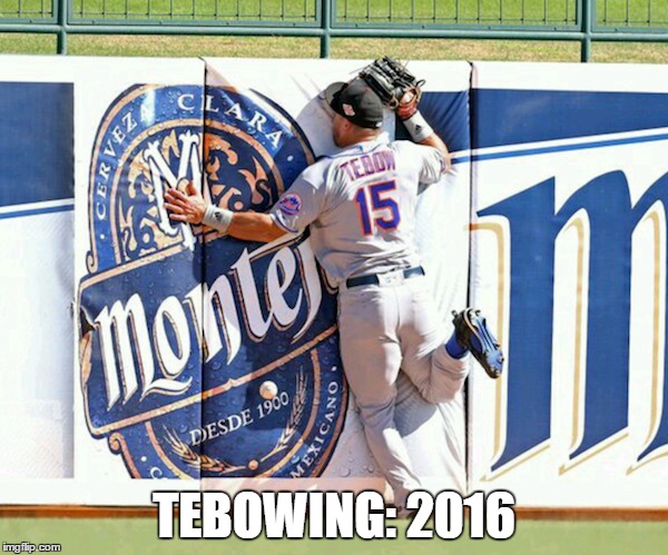 Tim Tebow: 2016 | TEBOWING: 2016 | image tagged in tebow,tim tebow,fence,baseball | made w/ Imgflip meme maker